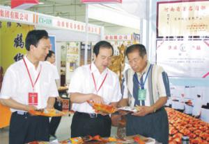 原安陽市市長董永安、副市長陳明今到公司調(diào)研